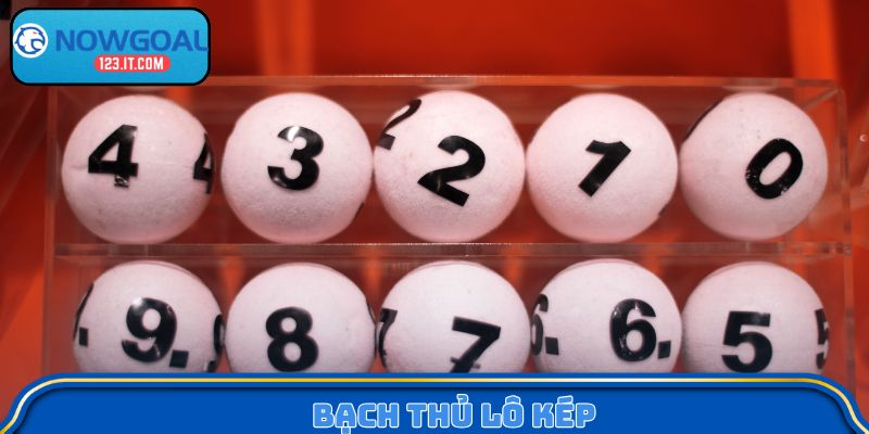 Bạch thủ lô kép