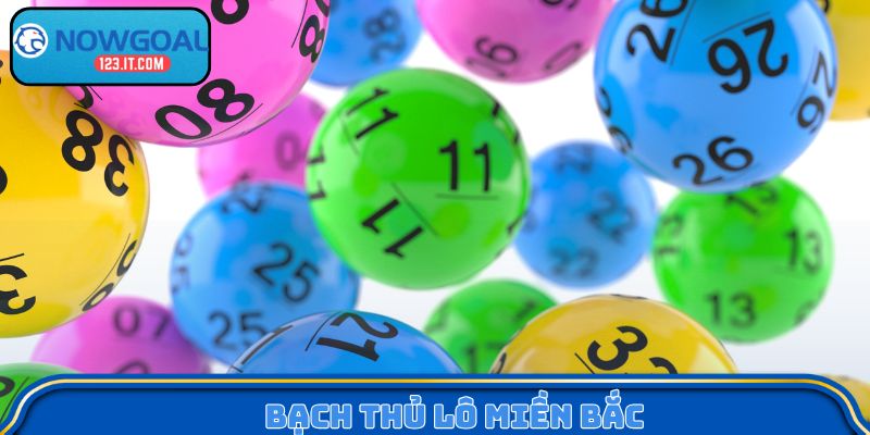 Bạch thủ lô miền Bắc