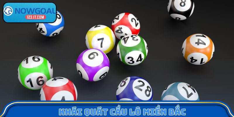 Khái quát Bạch thủ lô miền Bắc